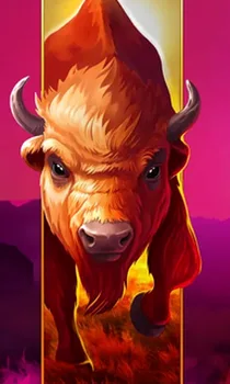Big Wild Buffalo